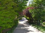 177-shorewood-driveway