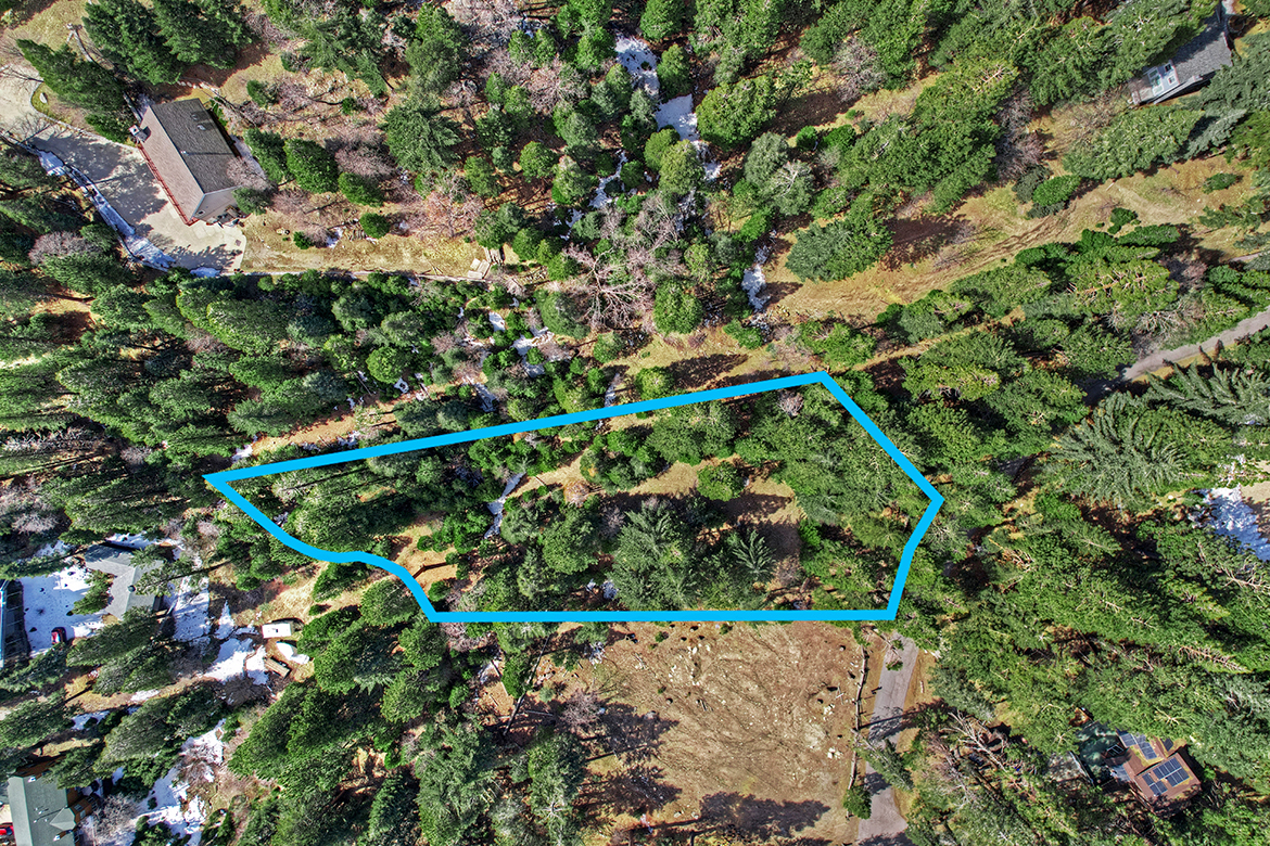 Build your Dream Lodge! Lynne B. Wilson Real Estate